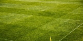 Primeira Liga jako poligon doświadczalny dla taktyki
